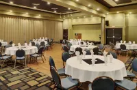 Kindersley Inn Hotels in Kindersley