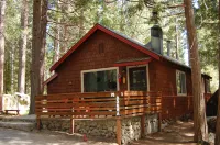 Serene Forest Cabin - Gas BBQ, Back Deck, Private Getaway 빅 트리스 루프 트레일헤드 주변 호텔