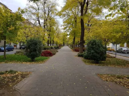 Lovely apartment in downtown with free parking