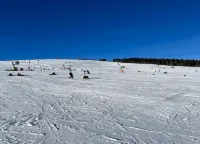 Charming Apartment, Harz Region Hotels in Falkenstein