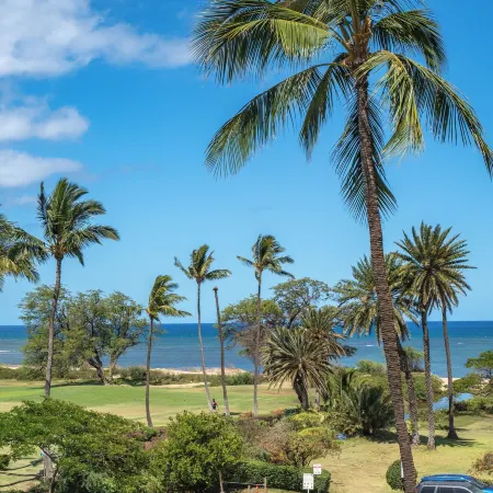 Sunny and Soothing Oceanfront Vistas