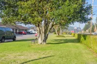 Bay Bridge Motel - 2-Star