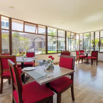 Rock Hyrax Hotel