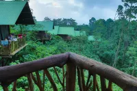 La Tigra Rainforest Lodge - Mountain view