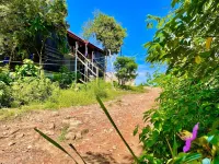 The Cliff Hostel