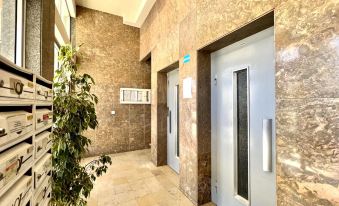 Faro Deluxe by Homing