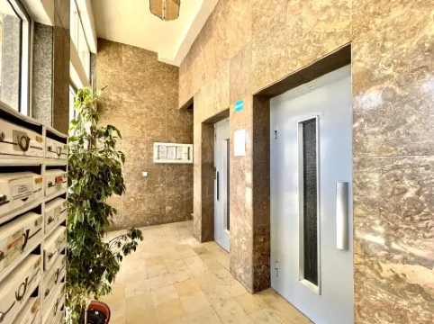 Faro Deluxe by Homing