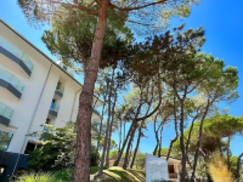 Hotel President Hotels near Beach Office 1 - Dutch Flag