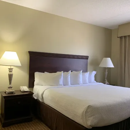 Euro-Suites Hotel