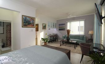 Kingsway New Kingston Guest Apartment II