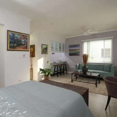 Kingsway New Kingston Guest Apartment II