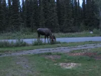 Denali Tri-Valley Cabins - Wifi