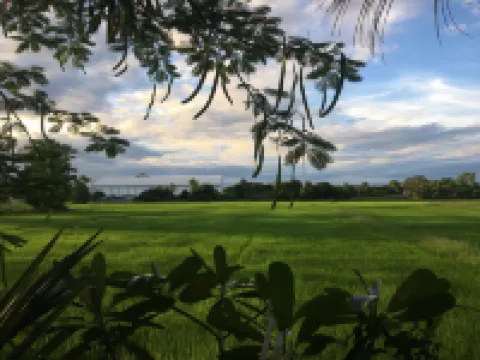 บ้านสวนปาล์มรีสอร์ท