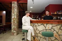 萊卡丁酒店 - 酒吧