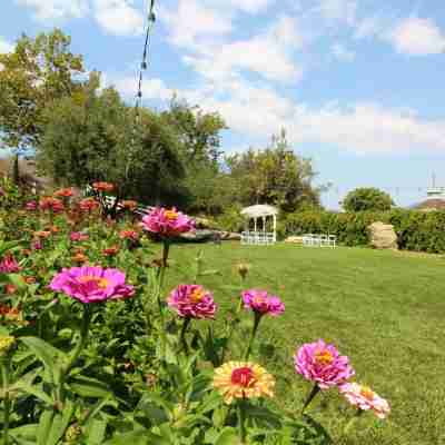 Madonna Inn Hotel Exterior
