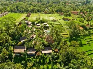 Blue Karma Dijiwa Ubud