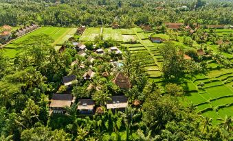 Blue Karma Dijiwa Ubud