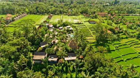 Blue Karma Dijiwa Ubud