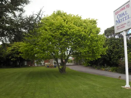 Opal Motel Отели в г. Леонгата