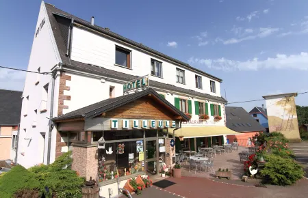 Hôtel Restaurant et Spa Au Tilleul Отели в г. Лабарош