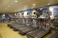 Hilton Grand Vacations Club on The Las Vegas Strip - gimnasio