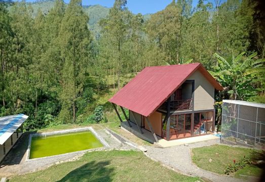 아르토텔 캐빈 브로모 조식 뷔페