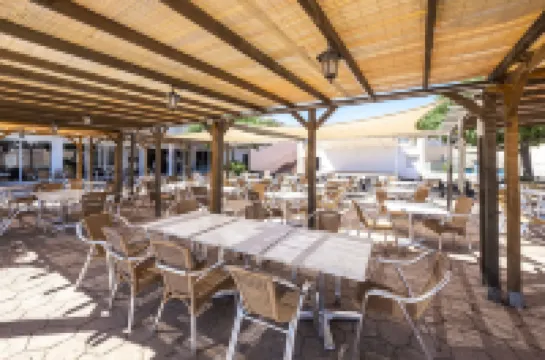 Comitas Isla del Aire