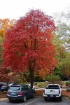 Nacoochee Valley Lodge - Motels
