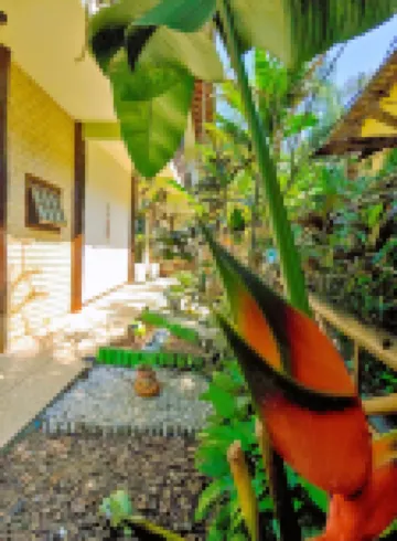 Pousada Aquarela do Mar Hotels near Lopes Mendes Beach