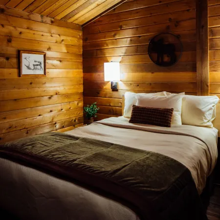 Denali Cabins