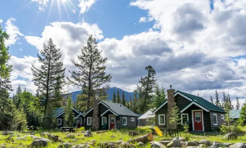 Pine Bungalows