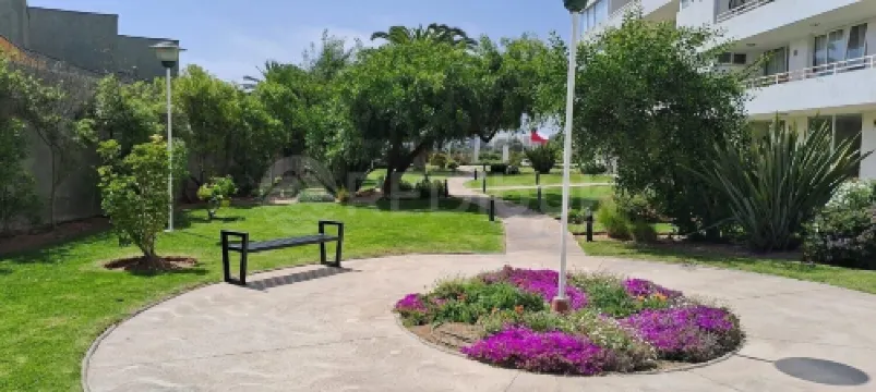 Rbk° Increíble Departamento a Pasos de Av. del Mar