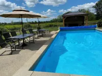 The Vine Bed & Breakfast, LLC Hotel di Dundee