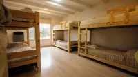 Casa Amonite Hostel Boutique - Homestays
