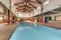 Stoney Creek Hotel Columbia - piscina