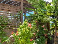 Blue Lagoon Villa Hotels near Le Morne