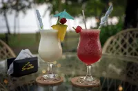Alma del Pacifico Hotel & Spa - Bar