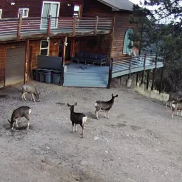 6 Bedroom Mountain Retreat  37 Acres, Close to Hwy 285, Borders National Forest