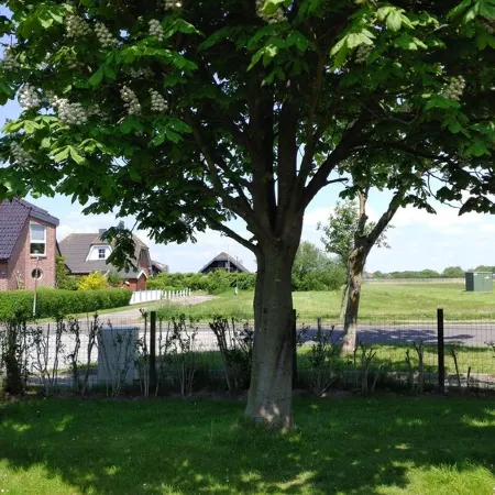 Haus Spitzenblick in Friedrichskoog-Spitze. Pure family vacation.