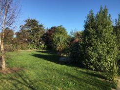 Stay in School by the Sea