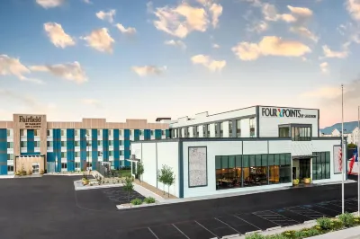Fairfield Inn & Suites Amarillo Central Hotels near Freeman's Flowers