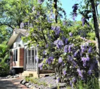 La Casita Private garden view beachfront