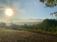 The Craft House - Cutest little Cabin you ever did see!!!