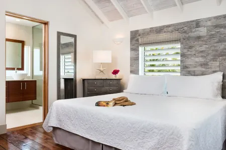 Palm Jewel - Luxury villa, private outdoor oasis w/pool, walk to SAPODILLA BEACH Отели рядом с достопримечательностью «Turks and Caicos Island»