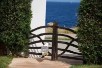 El Charrito. House  with garden and pool overlooking the sea