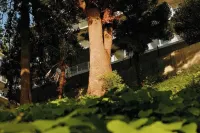 Elite Condo in Batumi Botanical Garden Отели в г. 