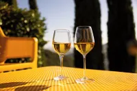 A stone farmhouse from 1850 with a pool for nature lovers Hotels in Pomarance