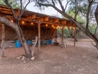Remodeled Ranch House on 3 acres with Horse Facilities Hotels in Tanque Verde