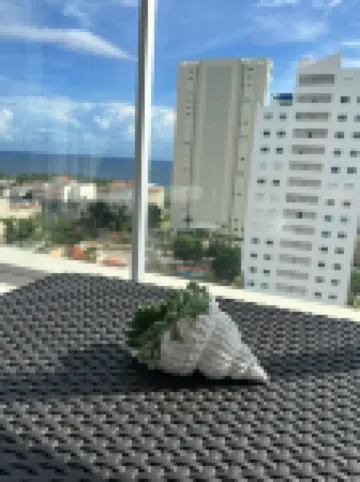 Cozy Oceanview+Pool+Gym+Airport 20 minutes Apartment Hotels in Guayacanes