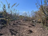 The Retreat - cozy cottage nestled in apple orchard with gorgeous mountain views
